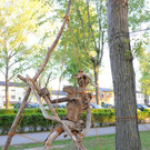 DSC_5977.jpg