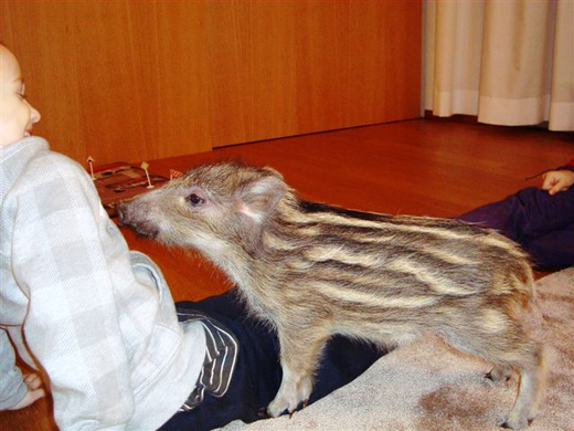 DSC02062.JPG