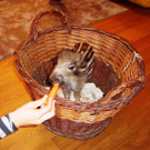 DSC02081.JPG
