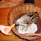 DSC02082.JPG