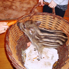 DSC02084.JPG