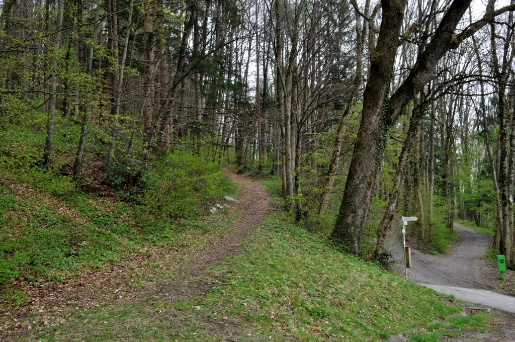 FlaechenwidmungKoblach22.JPG