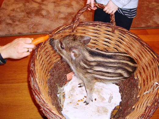 DSC02084.JPG