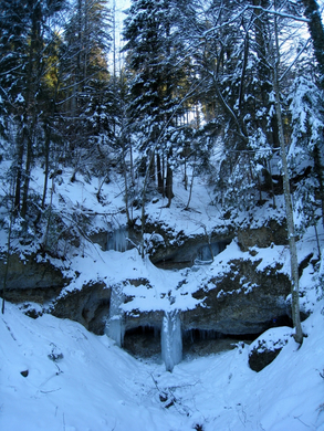 Eichenberg Winter Eiserlebnis _11_.jpg