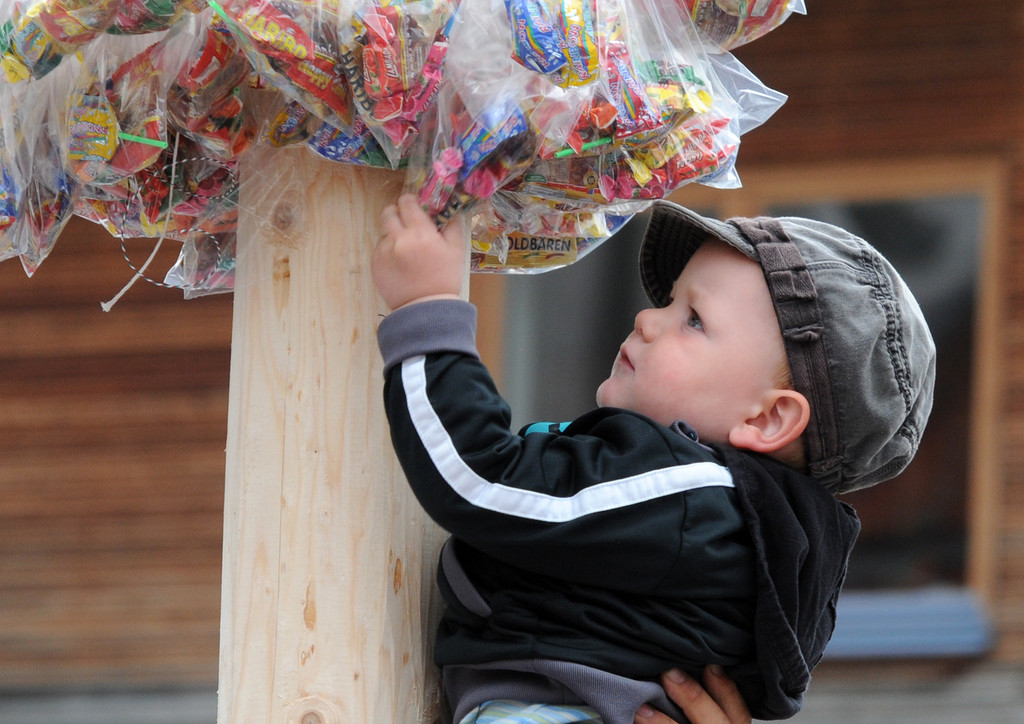 Maibaum H__chst 2011 35_jpg-1335520825
