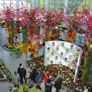 Bilder f__rs vol_at Holland 162_jpg-1335530073