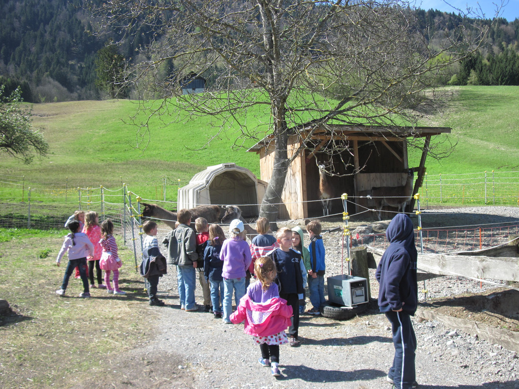 florianbesuch 092.JPG