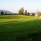 DSC01784_JPG-1335601659