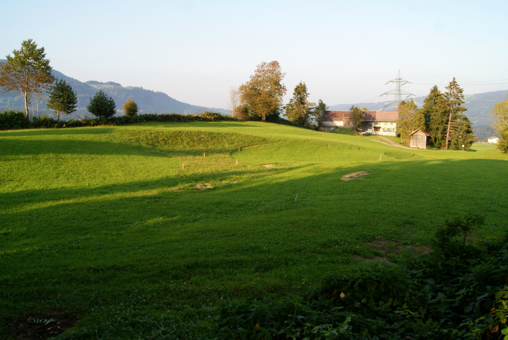 DSC01784_JPG-1335601659