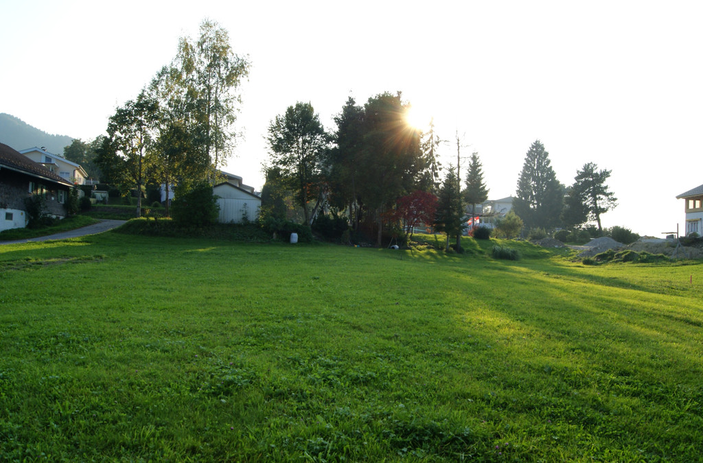 DSC01786_JPG-1335601665