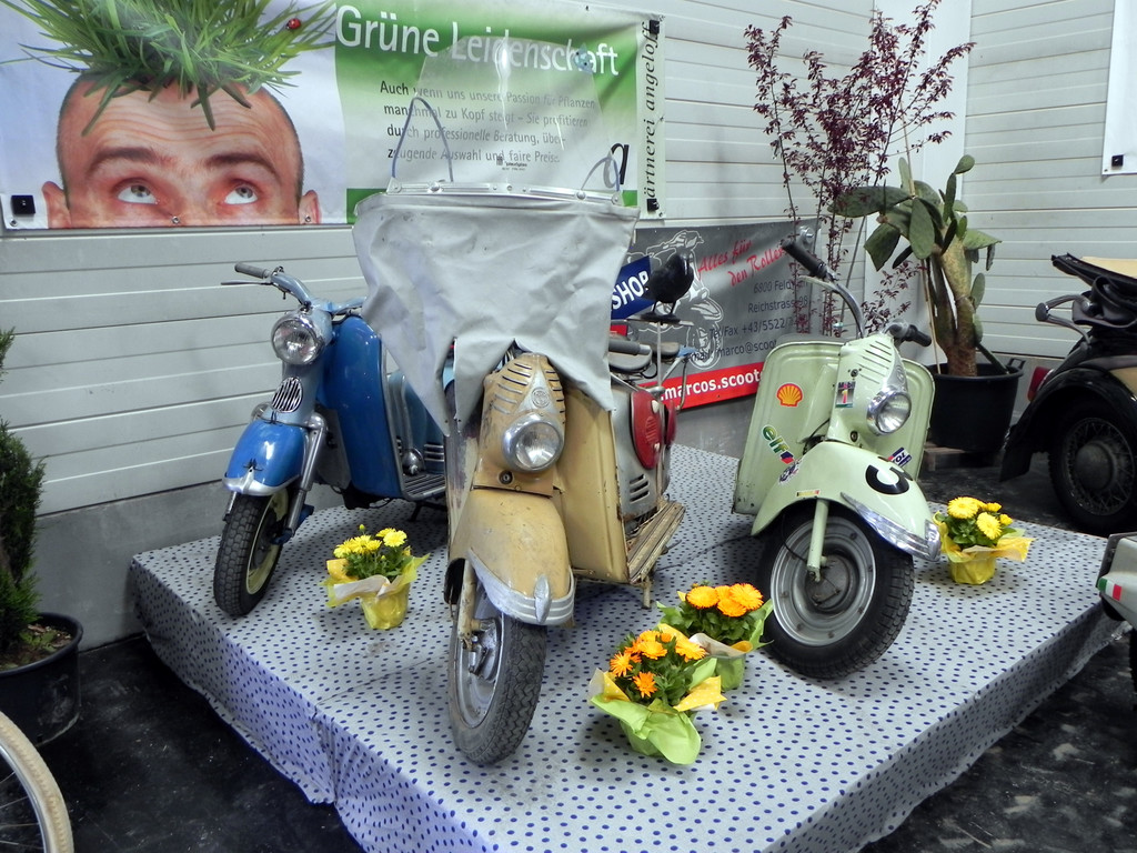 DSCN7107.JPG