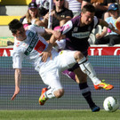 file64n020czpgp1mj80m2pm.jpg