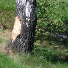 DSC_0029.JPG