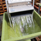 mini-bea_G__fel_Fischzucht _28__JPG-1335637421