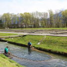 mini-bea_G__fel_Fischzucht _37__JPG-1335637379