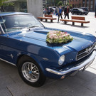 DSC01242.JPG