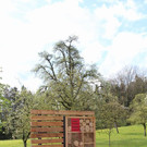 Bienenzuchtverein im Jagdbergischen