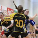 file64n2p5dg6iad5jgm2pm.jpg