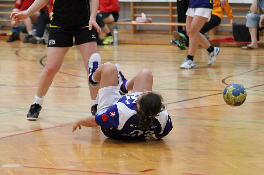 Handball Damen FK 2012 166.jpg