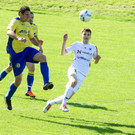 file64n2asph52wn7mvm2pm.jpg