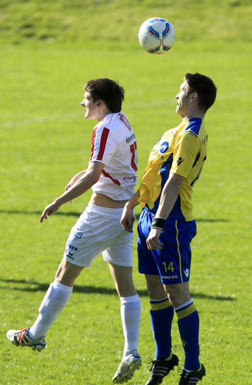 file64n2im8v2df3ye0l2pn.jpg