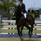 Springreiter in Aktion