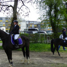 114_4324_JPG-1335653163