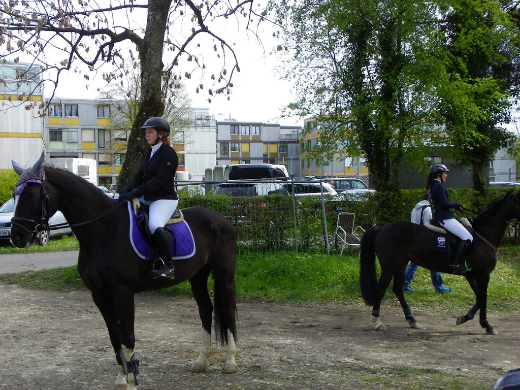 114_4324_JPG-1335653163