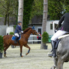 114_4331_JPG-1335653194