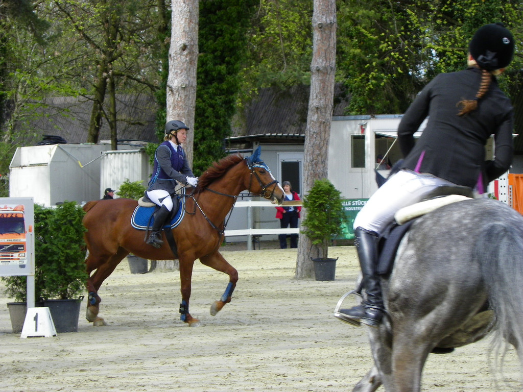 114_4331_JPG-1335653194