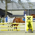 114_4332_JPG-1335653200