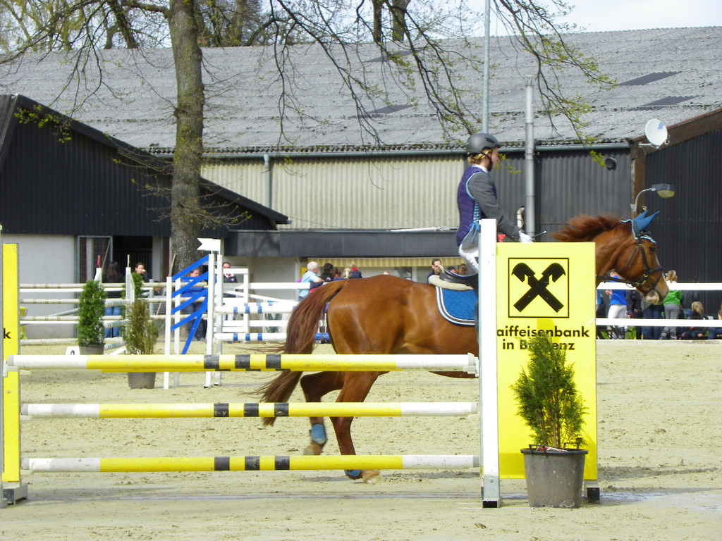 114_4332_JPG-1335653200