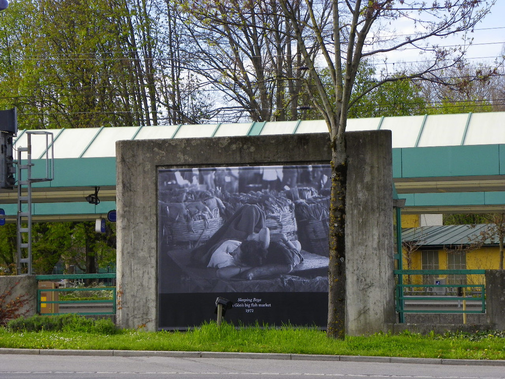 114_3727_JPG-1335653677