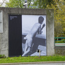 114_3729_JPG-1335653688