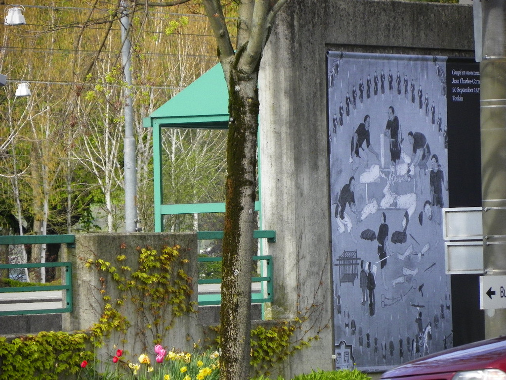 114_3730_JPG-1335653694