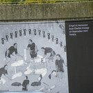 114_3732_JPG-1335653701