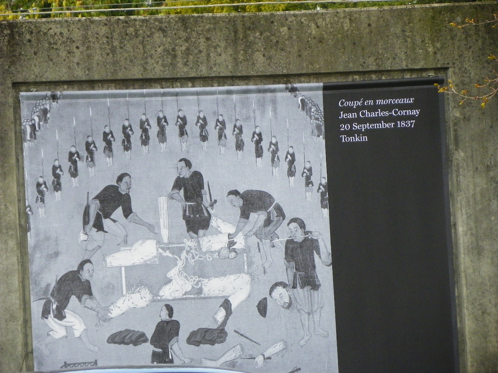 114_3732_JPG-1335653701