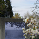 114_3733_JPG-1335653706