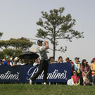 DAB0808-20120428.jpg