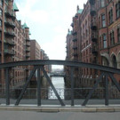 IMG_7227_jpg-1335692824