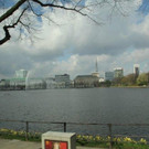 IMG_7268_jpg-1335692840