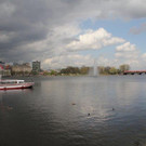 IMG_7372_jpg-1335692861
