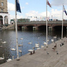 IMG_7367_jpg-1335696365