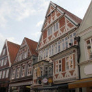 IMG_7695_jpg-1335696443