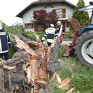 Meiningen: Föhnsturm wirft Bäume um - Pkw beschädigt