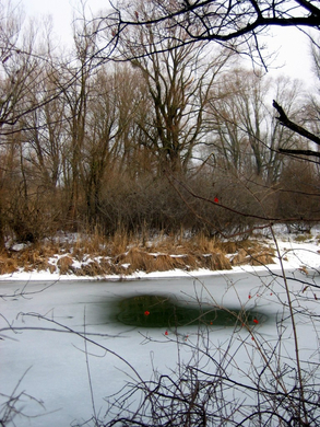 IMG_1885.JPG