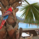 KOE_Saisinstart Felsenaubad 18_jpg-1335718097