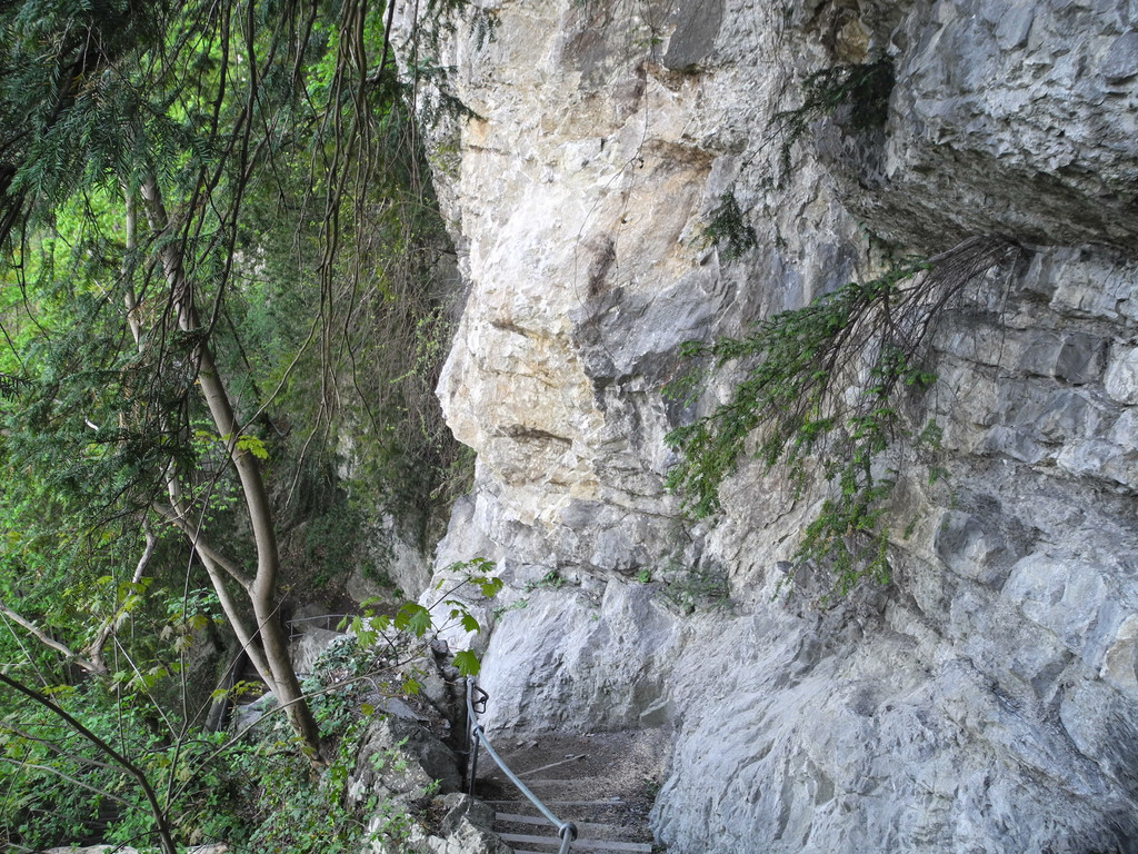 DSCN3080_JPG-1335723143