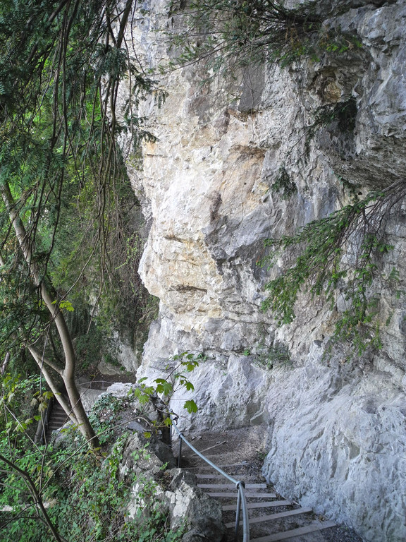 DSCN3081_JPG-1335723185