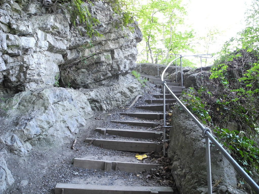 DSCN3082_JPG-1335723220